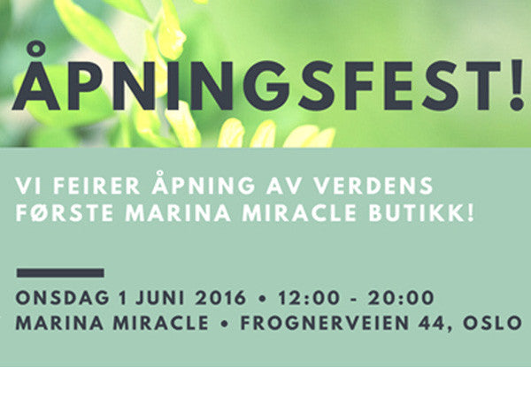 Åpningsfest